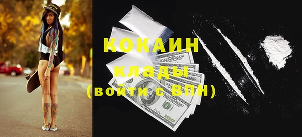 шишки Анива