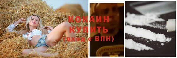 стафф Михайлов