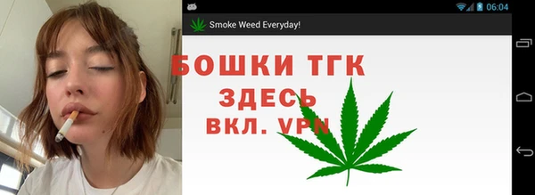 стафф Михайлов