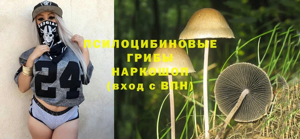 стафф Михайлов