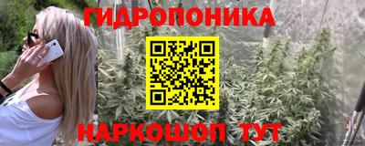 винт Волжский
