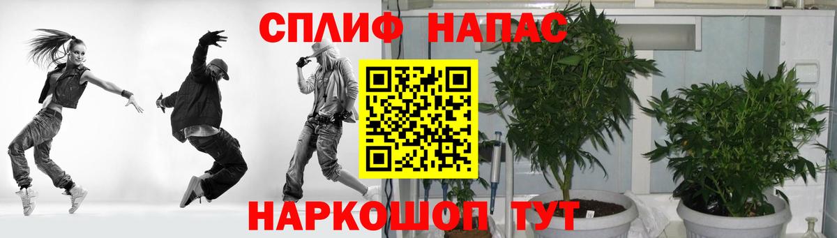 Бошки Шишки конопля  Калач-на-Дону  Бошки Шишки ГИДРОПОН 